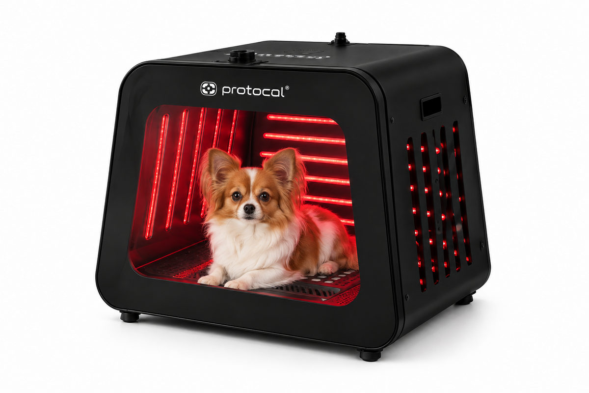 Small Pet Red Light Capsule | Full-Body Red & Near-Infrared Light for Dogs & Cats