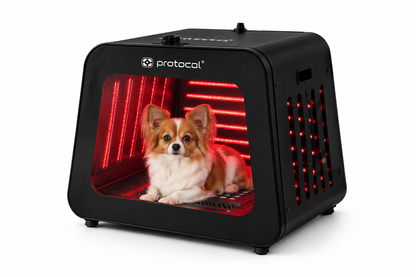 Small Pet Red Light Capsule | Full-Body Red & Near-Infrared Light for Dogs & Cats